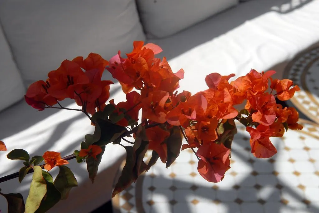 Riad Celia Marrakesh