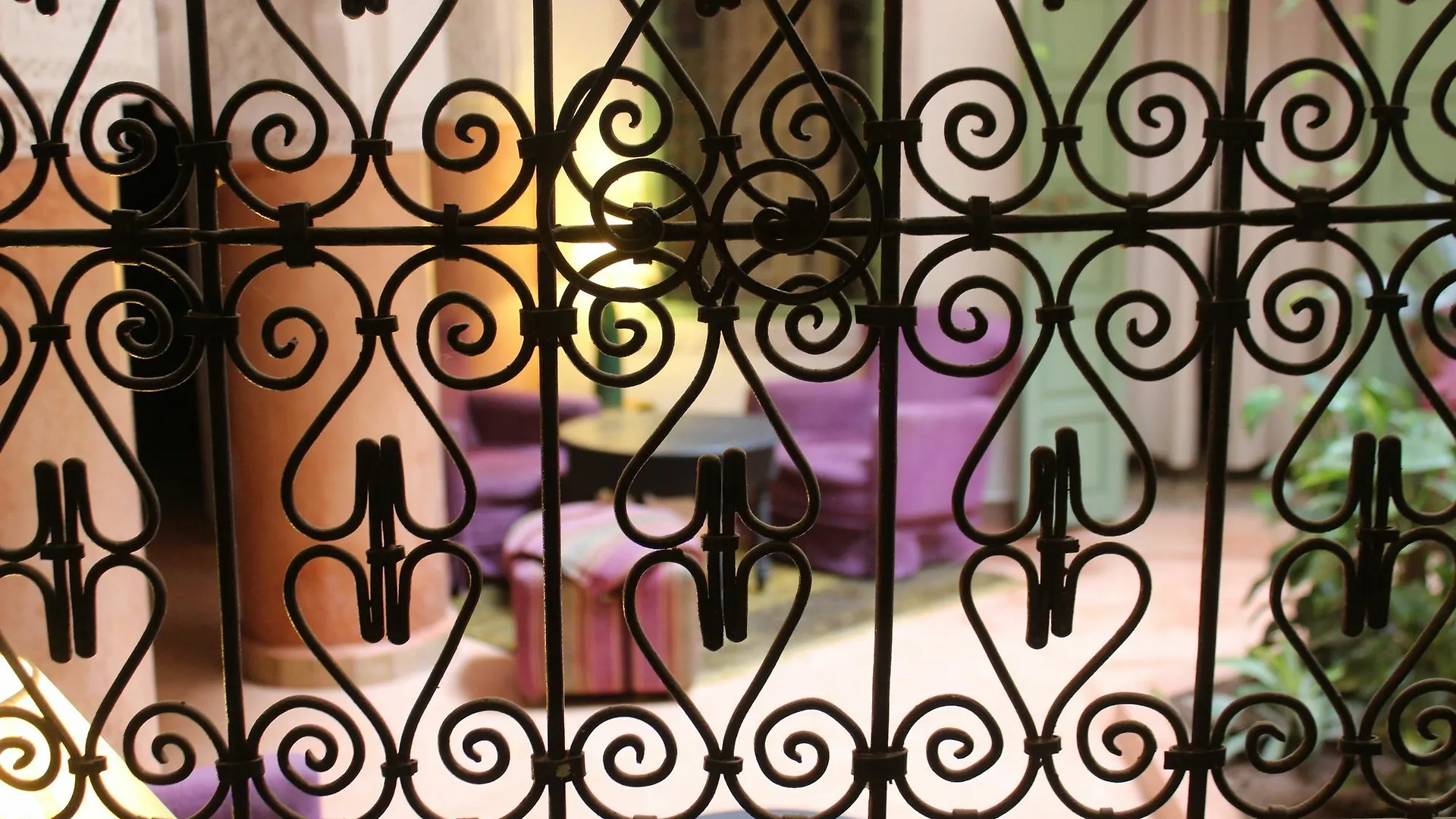 ** Guest house Riad Celia Marrakesh Morocco